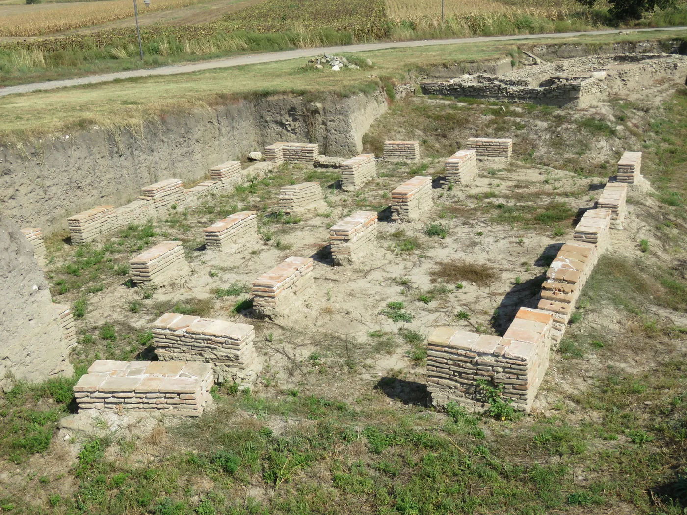 Roman amphitheatre ruins at the Viminacium archaeological park in Serbia